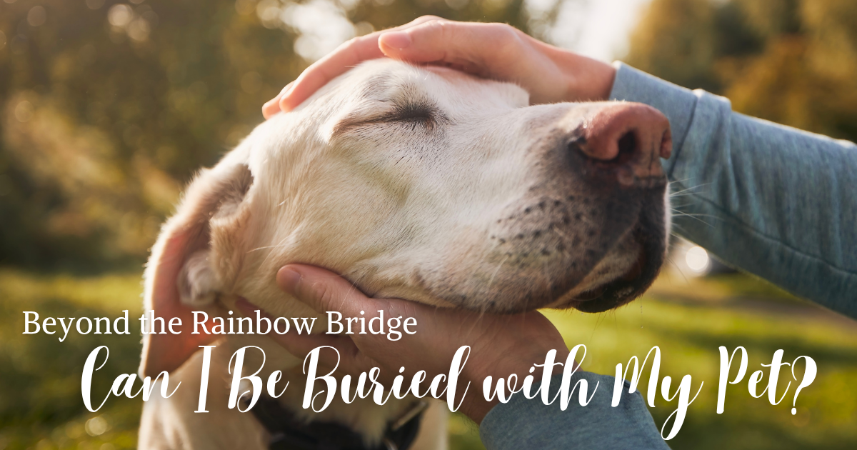 Beyond the Rainbow Bridge: Can I Be Buried with My Pet?
