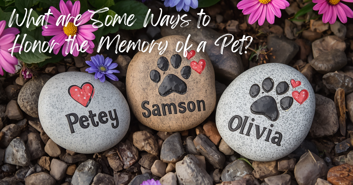 What are Some Ways to Honor the Memory of a Pet?