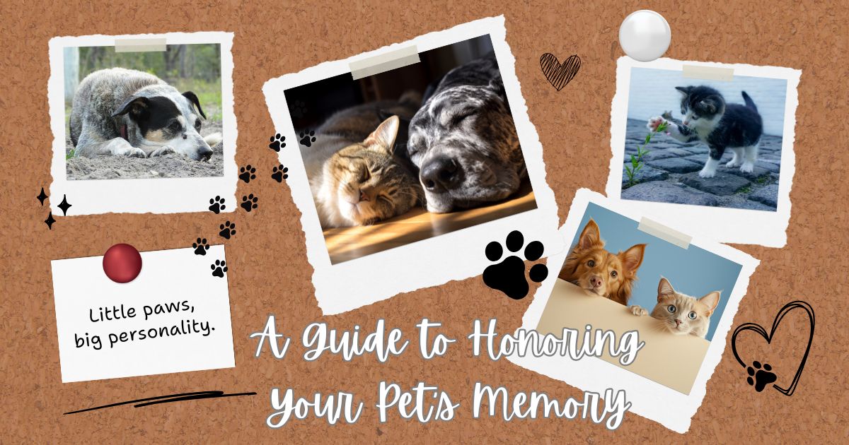 Paw Prints on Our Hearts: A Guide to Honoring Your Pet's Memory
