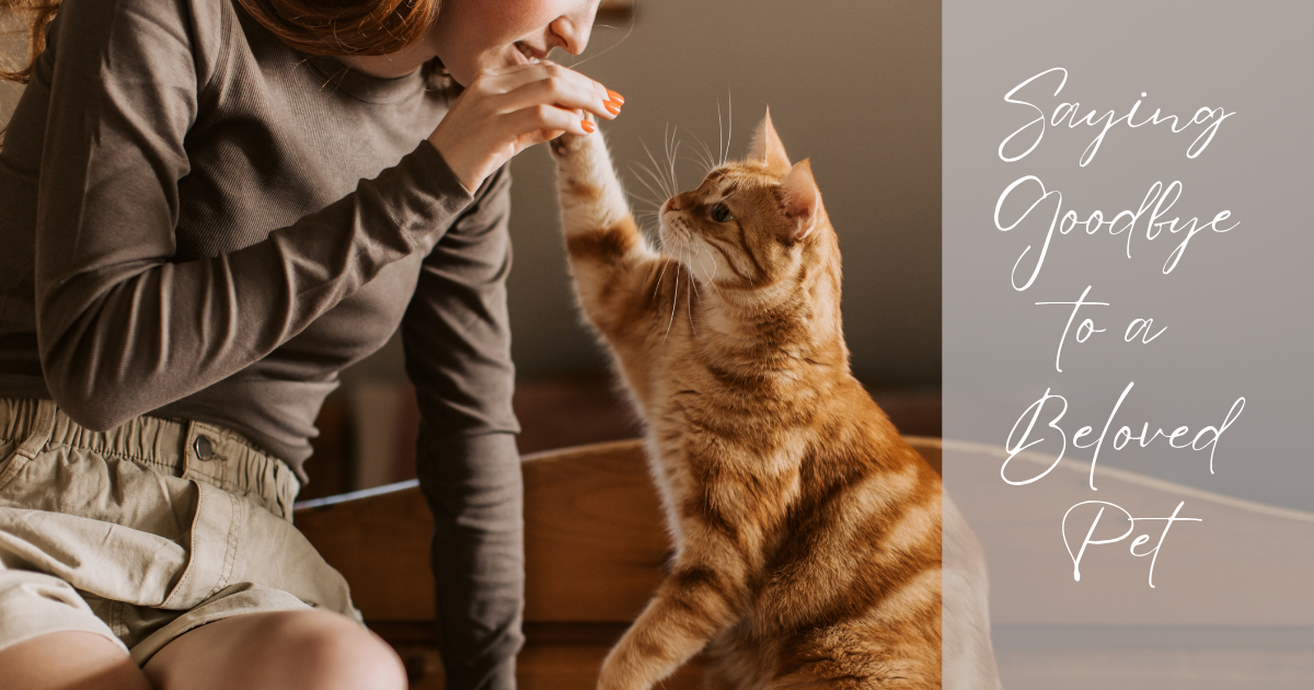 Saying Goodbye to a Beloved Pet