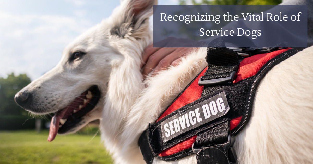 Recognizing the Vital Role of Service Dogs